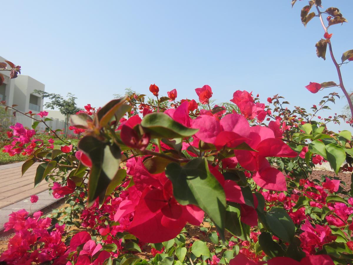 Bermuda Villas Holiday Home Ras al-Khaimah Værelse billede